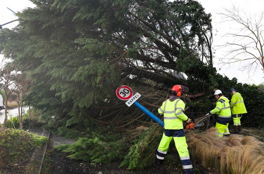  عاصفة سياران: اضطرابات تهم حركة النقل في بلجيكا وهولندا