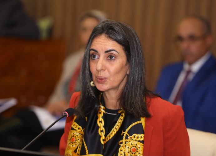 إحصاءات التجارة الخارجية آلية أساسية في اتخاذ القرار (السيدة فتاح)