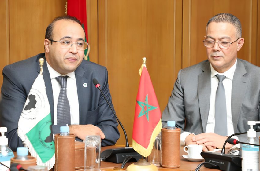  المغرب-البنك الإفريقي للتنمية: تعاون نموذجي بتمويل يناهز 800 مليون أورو في سنة 2023