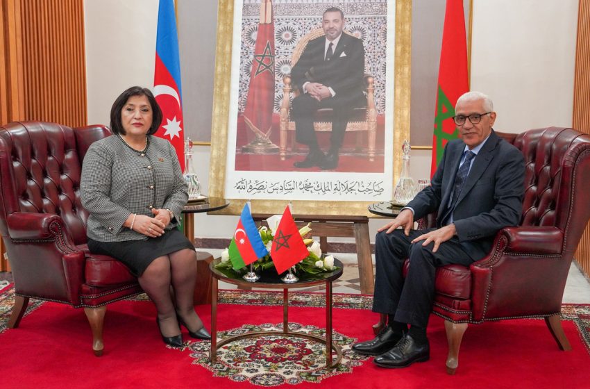  رئيس مجلس النواب يتباحث مع نظيرته الأذرية سبل الارتقاء بالتعاون البرلماني