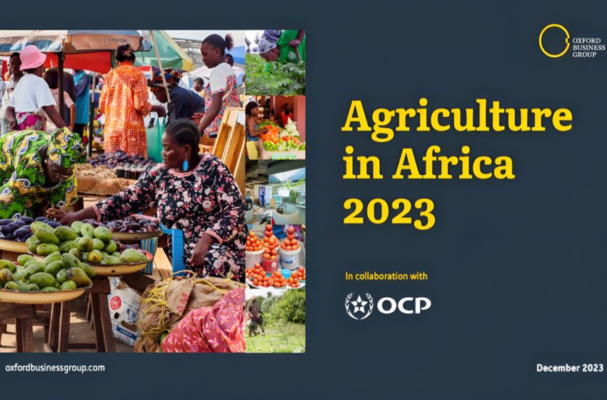  مجموعة أكسفورد للأعمال تصدر تقريرها حول الزراعة في إفريقيا 2023