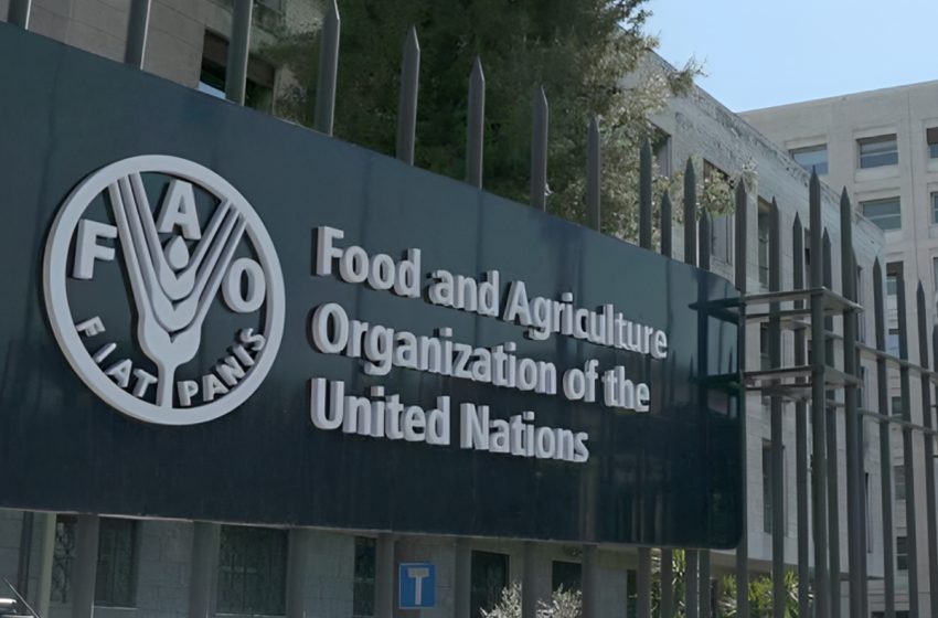  مؤتمر المناخ 2023: الفاو  تطلق خطة لخفض انبعاثات نظم الأغذية الزراعية