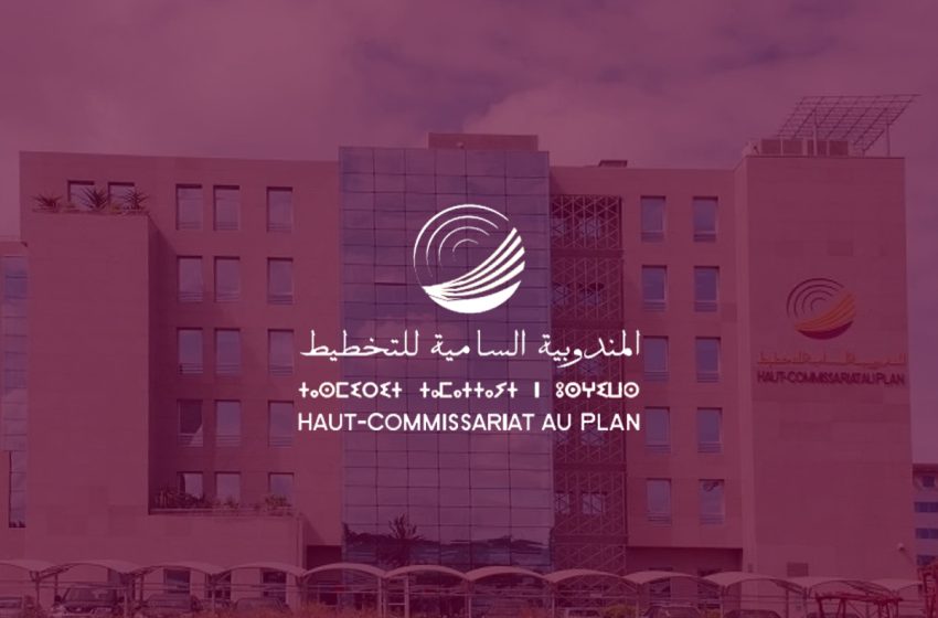 الإحصاء العام للسكان والسكنى 2024 :27 فبراير آخر أجل للتسجيل في منصة الانتقاء القبلي للمرشحين