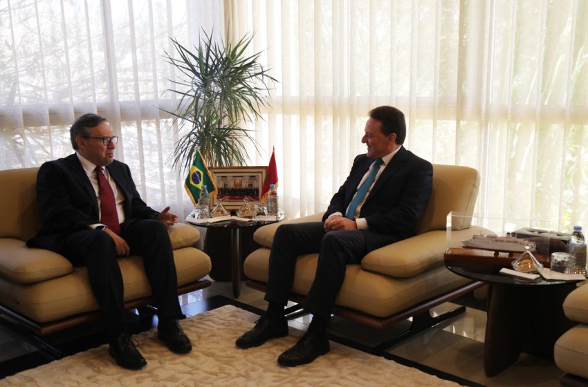  وزير النقل يبحث سبل تعزيز التعاون في قطاع النقل مع سفير البرازيل بالمغرب