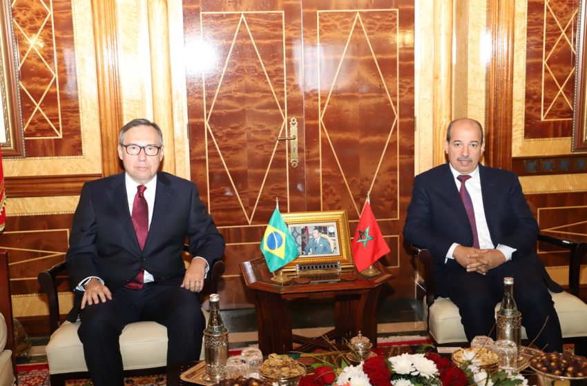  النعم ميارة يتباحث مع سفير البرازيل بالمغرب