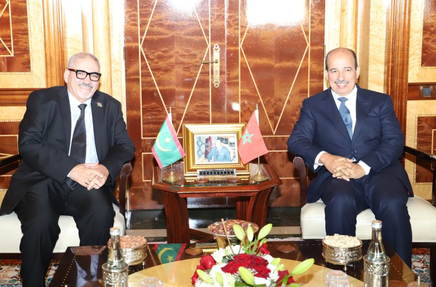  النعم ميارة يستقبل سفير موريتانيا في المغرب
