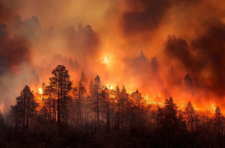  ارتفاع ضحايا حرائق الغابات في الشيلي إلى 51 قتيلا