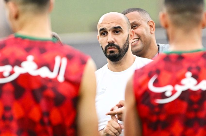 الجامعة تجدد ثقتها في وليد الركراكي مدربا للمنتخب الوطني المغربي