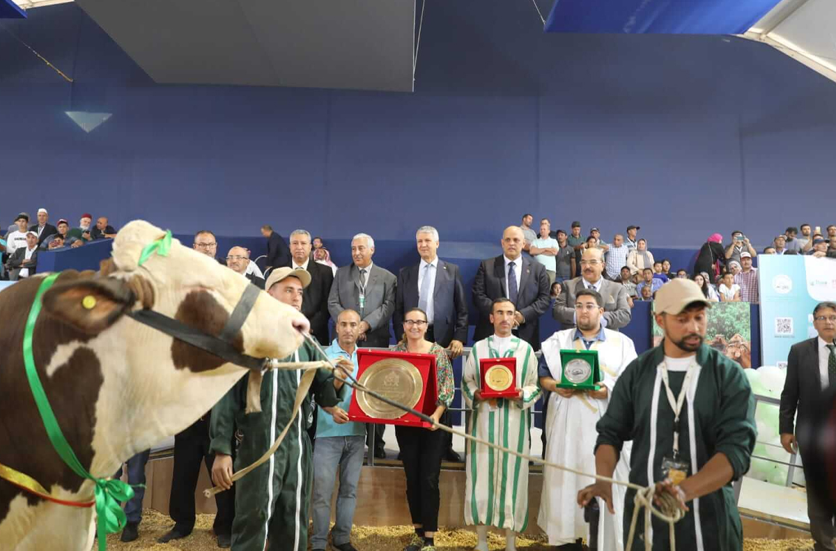 المعرض الدولي للفلاحة 2024: توزيع الجوائز على المربين الفائزين في مسابقات اختيار أفضل روؤس الماشية