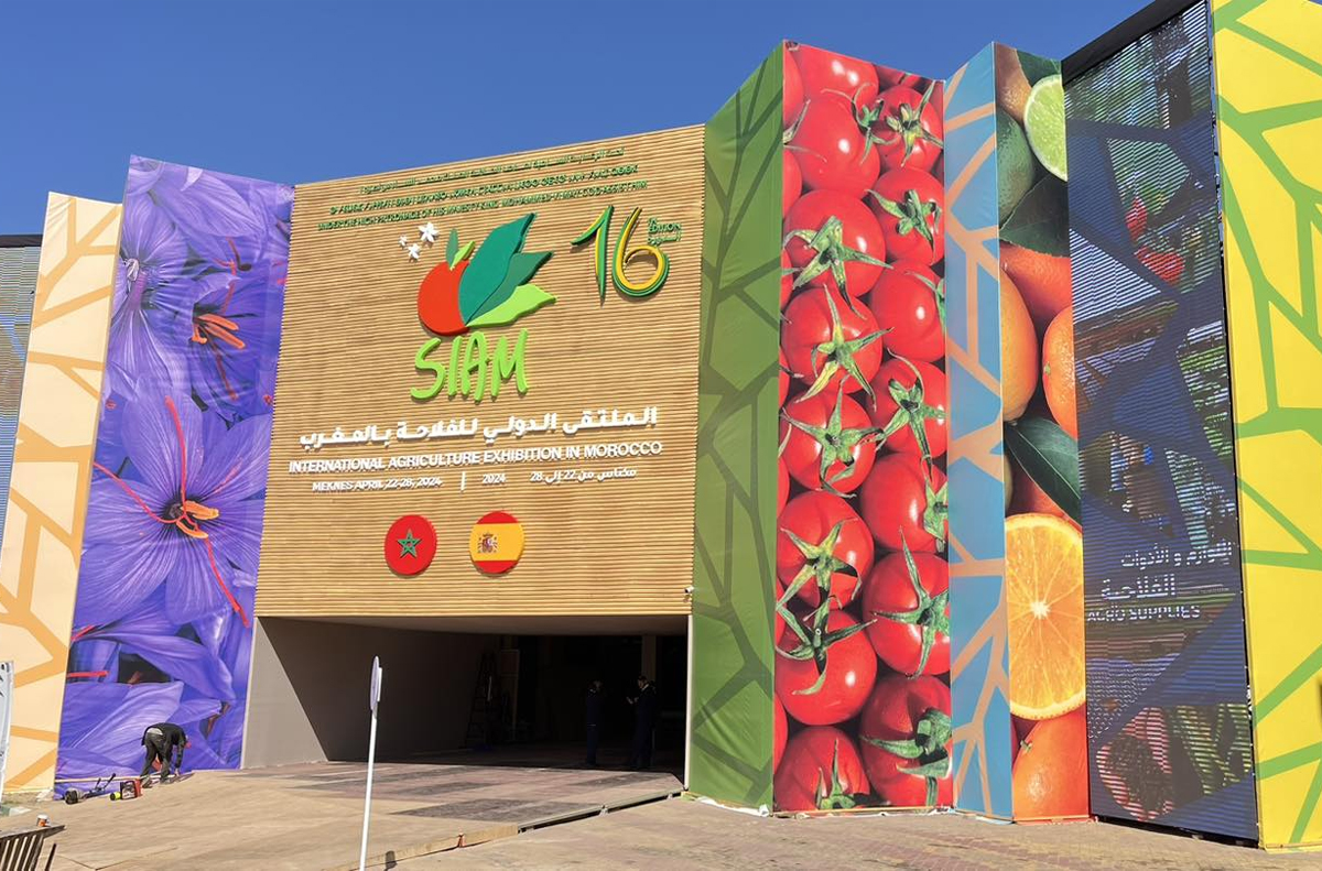 المعرض الدولي للفلاحة بالمغرب 2024: مؤسسات وطنية تعزز تعاونها في المجالات العلمية والتقنية