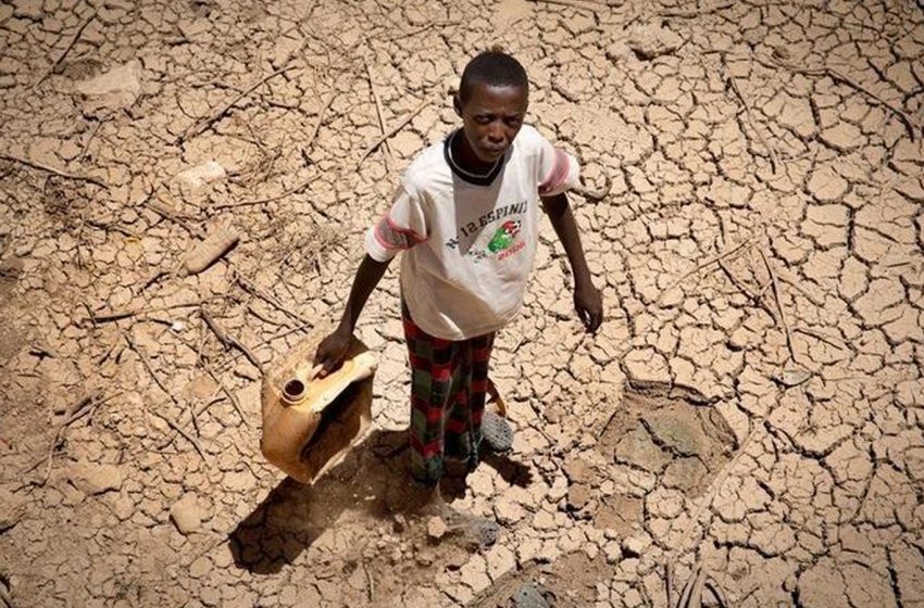  منظمة أكشن إيد: يتعين اتخاذ إجراءات عاجلة للتخفيف من آثار الجفاف بإفريقيا