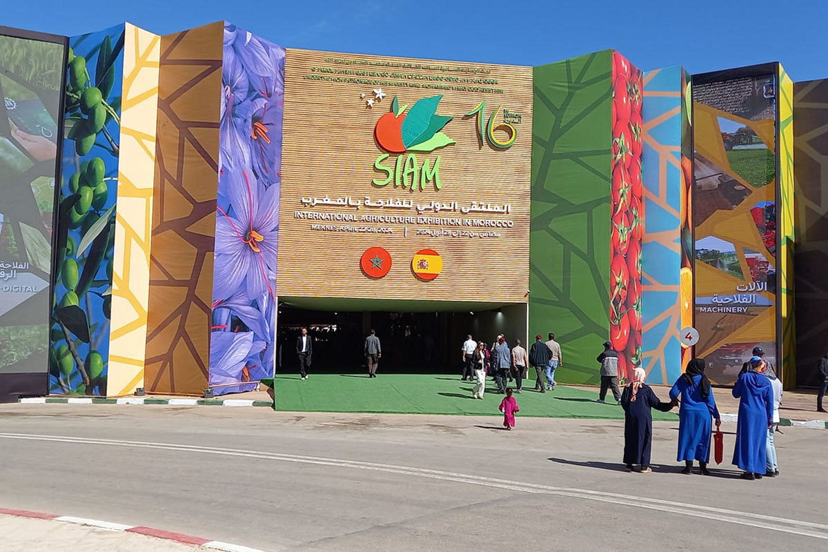 المعرض الدولي للفلاحة بالمغرب 2024: أبرز أرقام الدورة الـ 16
