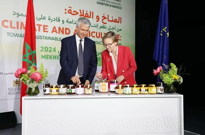 العسل المغربي يطرق أبواب السوق الأوروبية