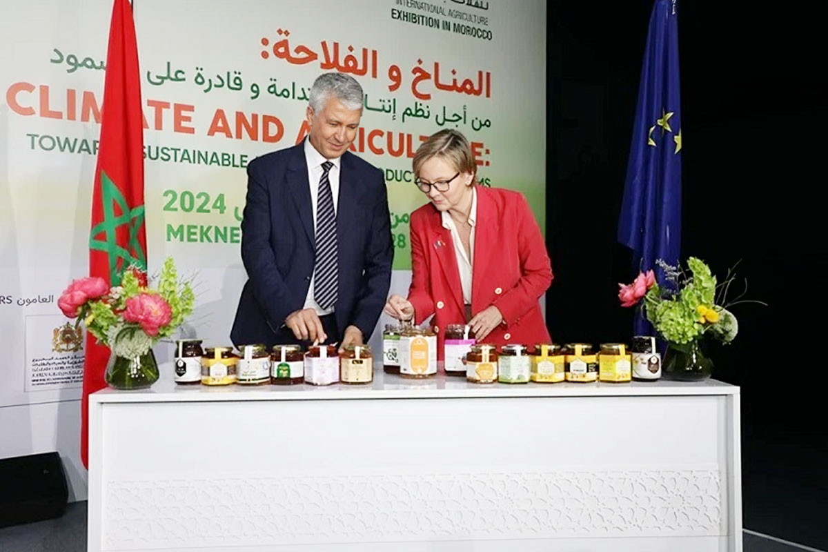 العسل المغربي يطرق أبواب السوق الأوروبية