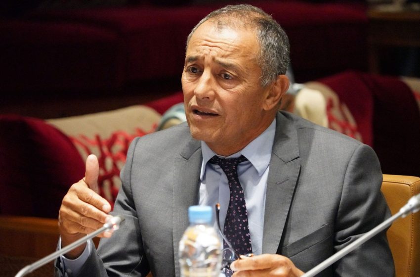  الاقتصاد الفضي: السيد الشامي يدعو إلى سياسة عمومية مندمجة لفائدة كبار السن