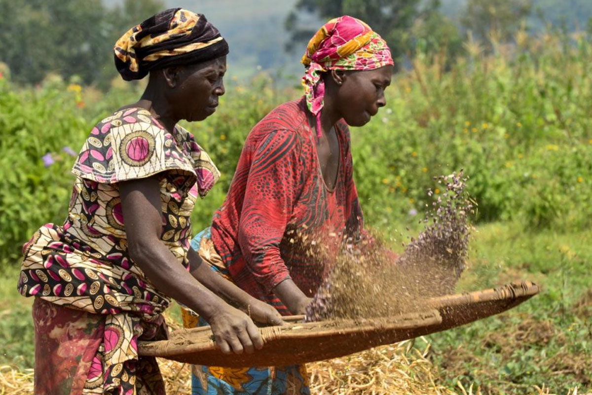 الأمم المتحدة تعلن 2026 سنة دولية للمرأة المزارعة
