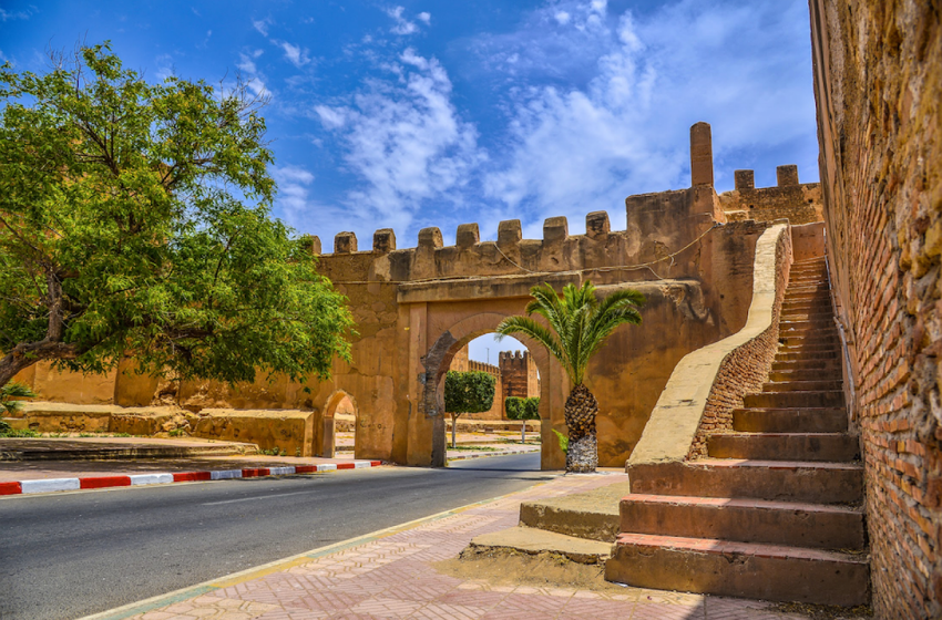  جماعة تارودانت ومدينة أنطوني الفرنسية تعززان تعاونهما