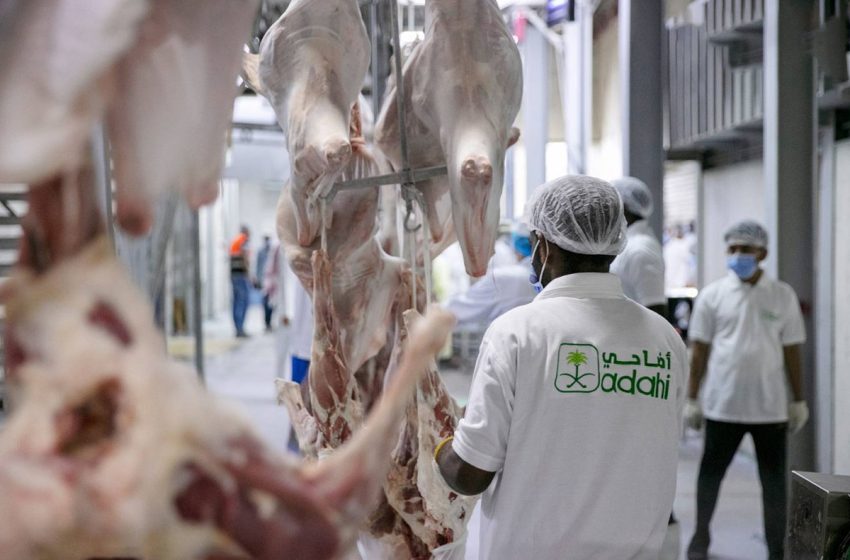  السعودية تستورد مليون رأس من الأغنام بـ120 مليون دولار لمشروع الأضاحي