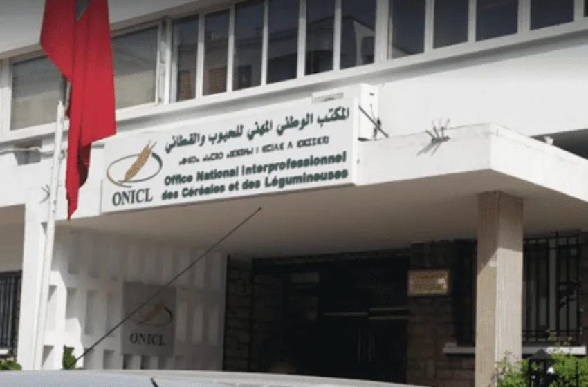 المكتب الوطني المهني للحبوب والقطاني يعلن إطلاق نظام جديد للتصريح
