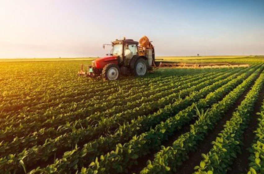 تقرير بريطاني حول الأمن الغذائي يسلط الضوء على العلاقات الفلاحية