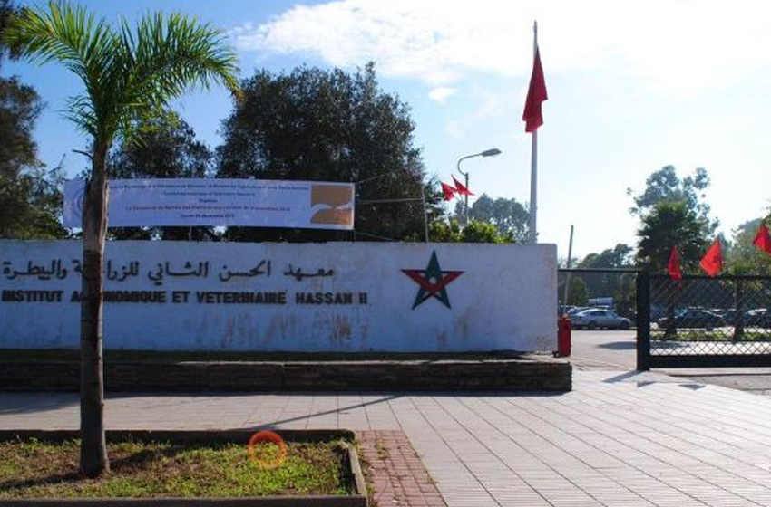  انعقاد الدورة الـ 73 لمؤتمر الرابطة الدولية لطلاب الطب البيطري بالرباط