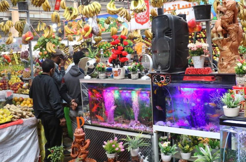 تتبع تموين الأسواق والأسعار خلال شهر رمضان .. إطلاق العمل