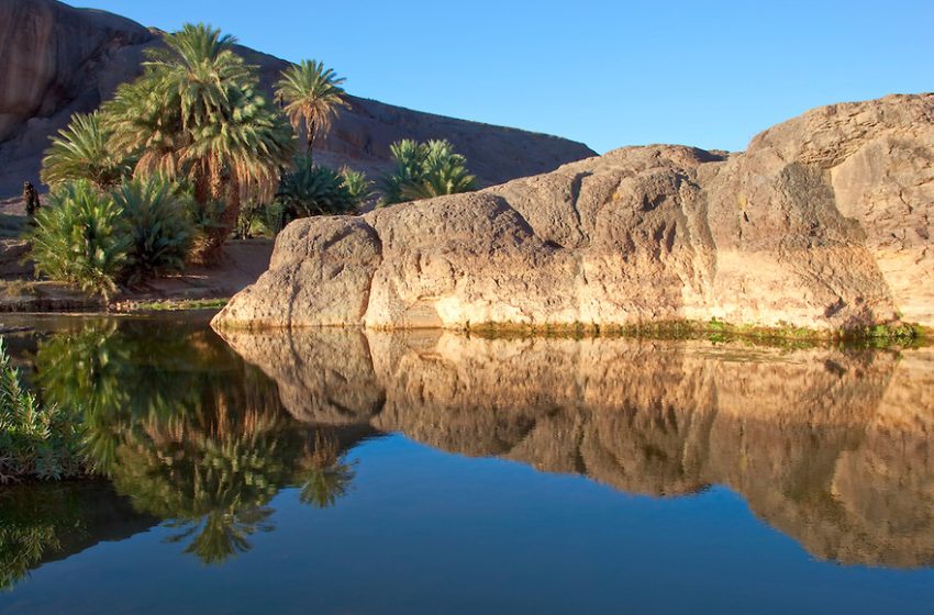 الواحات في مواجهة التغيرات المناخية العالمية.. محور مناقشات في إطار مؤتمر دولي بورزازات
