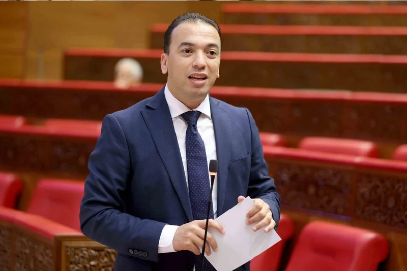 الاقتصاد الاجتماعي والتضامني: 5 أسئلة لكاتب الدولة المكلف بالصناعة التقليدية والاقتصاد الاجتماعي والتضامني، لحسن السعدي