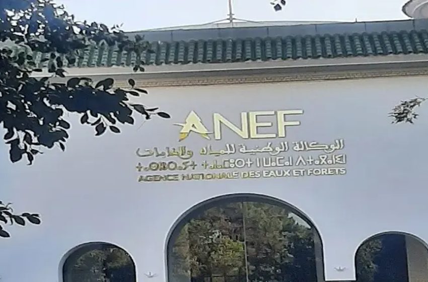 أكادير: ملتقى دولي حول التدبير المستدام للغابات