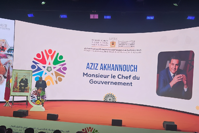 الاقتصاد الاجتماعي والتضامني يضطلع بدور بارز في تقوية النسيج الاقتصادي الوطني (السيد أخنوش)