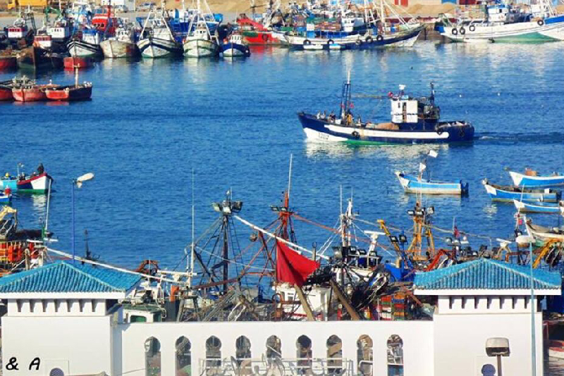 ميناء العرائش .. تراجع بنسبة 10 في المائة في مفرغات الصيد البحري خلال النصف الأول من العام