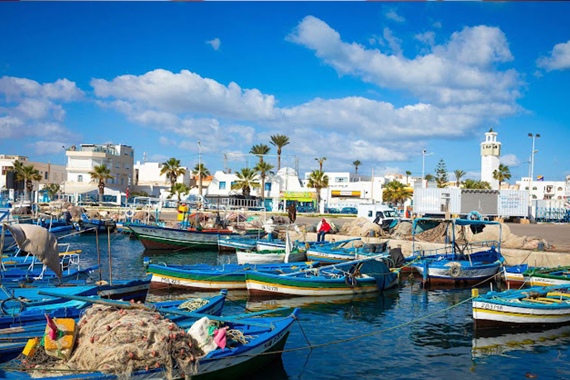 ميناء المهدية.. ارتفاع الكميات المفرغة من منتجات الصيد ب 18 بالمائة عند متم يونيو الماضي (مكتب)