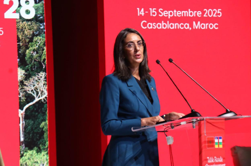 المغرب بقيادة جلالة الملك ملتزم بتعزيز التعاون جنوب-جنوب والتنمية المشتركة في إفريقيا (نادية فتاح)