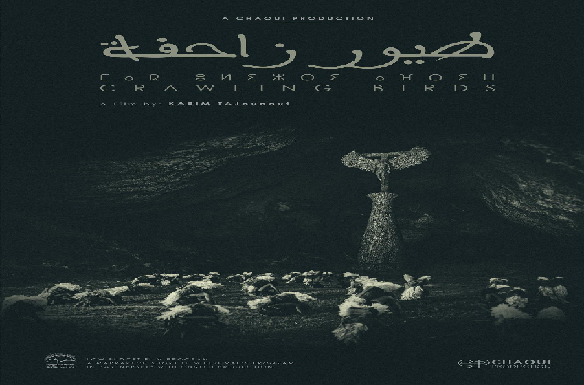 قصير طيور زاحفة . دعوة إلى اكتشاف رحابة الوجود والحياة