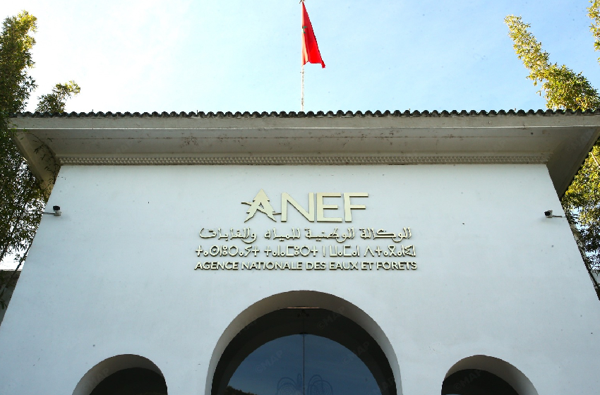  إطلاق غزال الأروي في المنتزه الوطني للأطلس الكبير الشرقي (بلاغ)