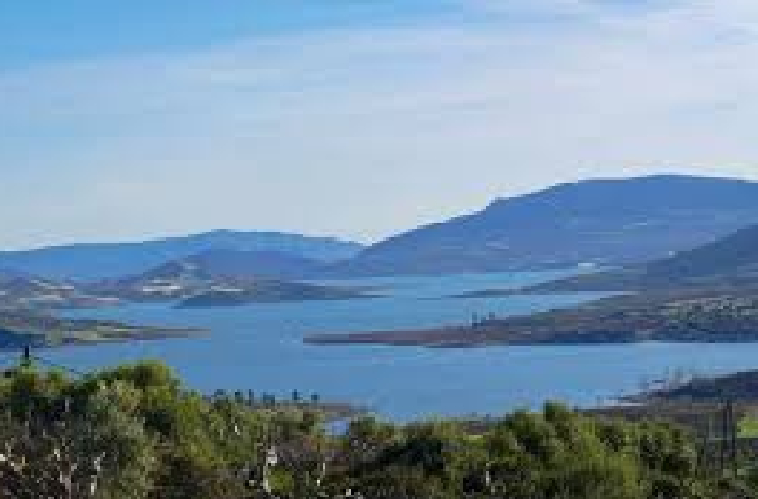  حوض اللوكوس .. تسطير برنامج جد مهم للزراعات السكرية على مساحة 13 ألف هكتار