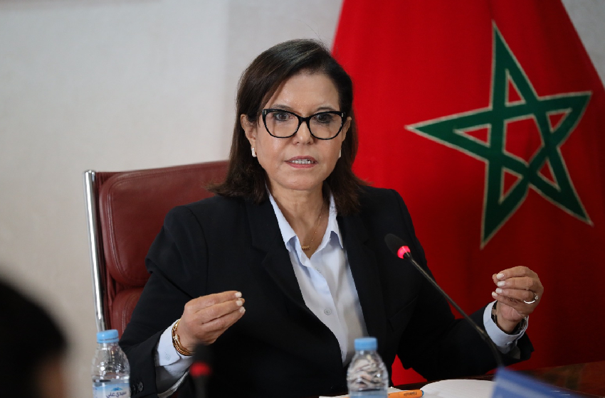  السيدة الدريوش تدعو إلى اعتماد مقاربة إقليمية منسقة بشأن استغلال الأسماك السطحية الصغيرة