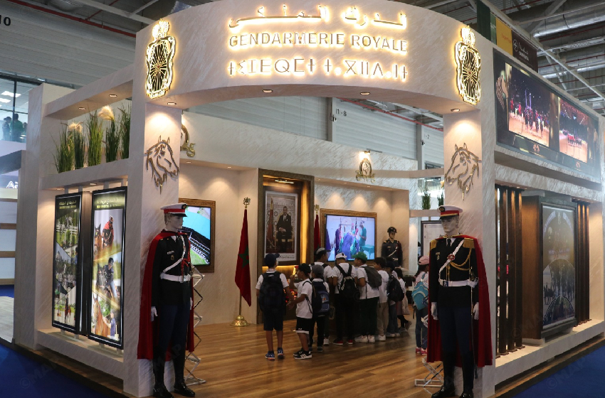 الفرس بالجديدة. العناية بالخيول في صلب مهام جهاز الدرك الملكي 1