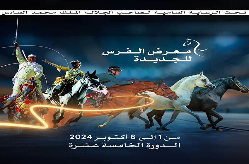 معرض الفرس بالجديدة.. العناية بالخيول في صلب مهام جهاز الدرك الملكي
