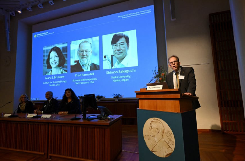 جائزة نوبل في الطب لثلاثة علماء عن أبحاثهم في مجال التحكم في الجهاز المناعي