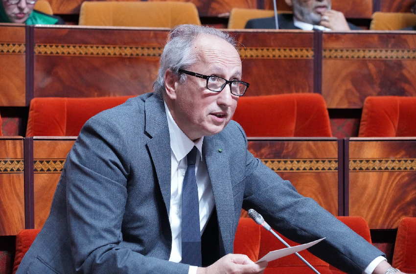 التربية الوطنية والتعليم الأولي والرياضة، محمد سعد برادة