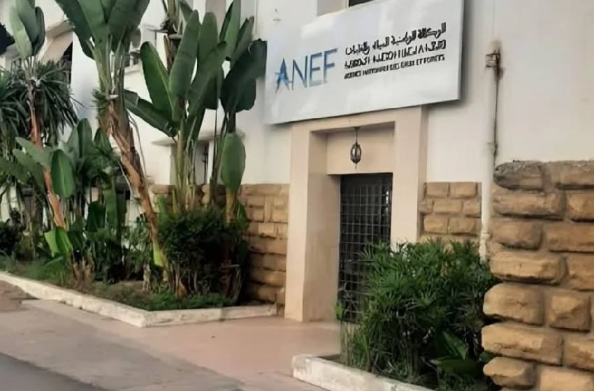 تحيين المخطط التوجيهي للمناطق المحمية يوفر مرجعا حديثا لتدبير التراث الطبيعي الوطني (السيد هومي)