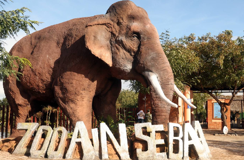 البيضاء إفتتاح حديقة الحيوانات عين السبع بعد إعادة تأهيلها