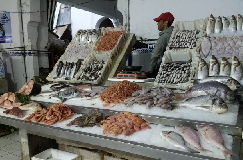 أسواق السمك بالجملة