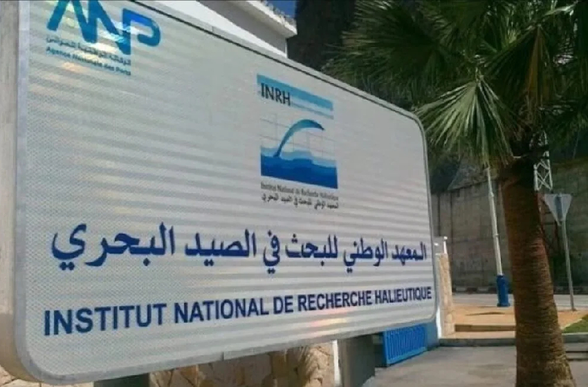 عمل 2026 . المعهد الوطني للبحث في الصيد البحري يولي أهمية كبرى لتكثيف الاستكشاف ومراقبة النظم الإيكولوجية البحرية
