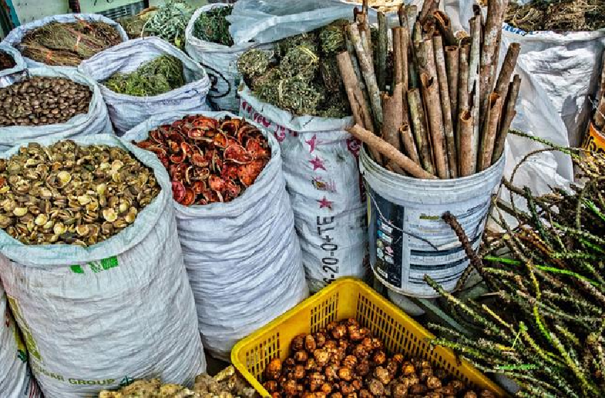 الصحة العالمية تطلق مكتبة رقمية تضم 1.6 مليون سجل عن الطب التقليدي