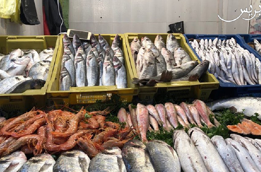 68 سوقا لبيع السمك من أصل 76 تعتمد على الرقمنة السيدة الدريوش