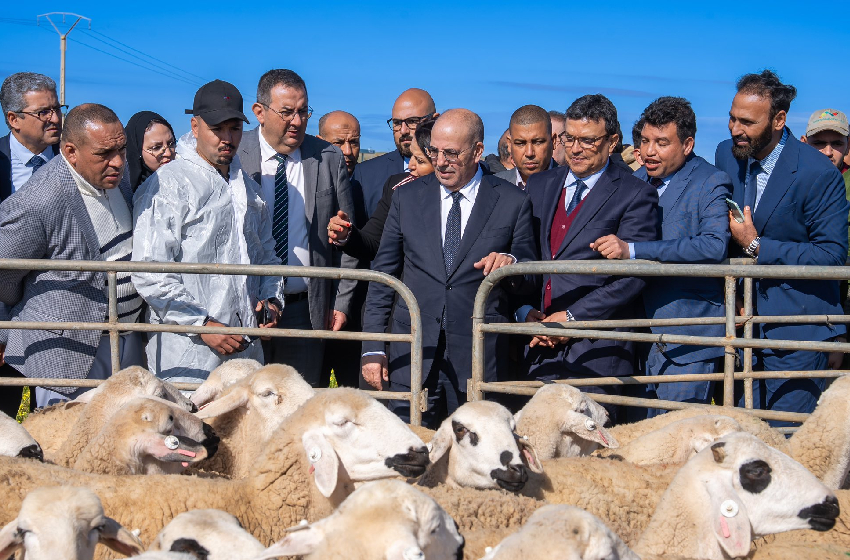  إقليم الرحامنة: إطلاق مشاريع للفلاحة التضامنية وتعزيز الصمود الفلاحي