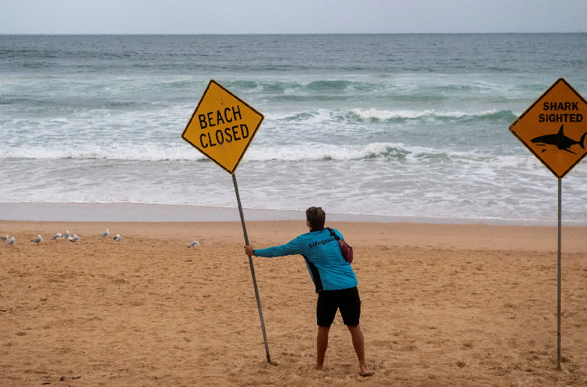 .السلطات تغلق شواطئ شمال سيدني بعد هجمات لأسماك القرش