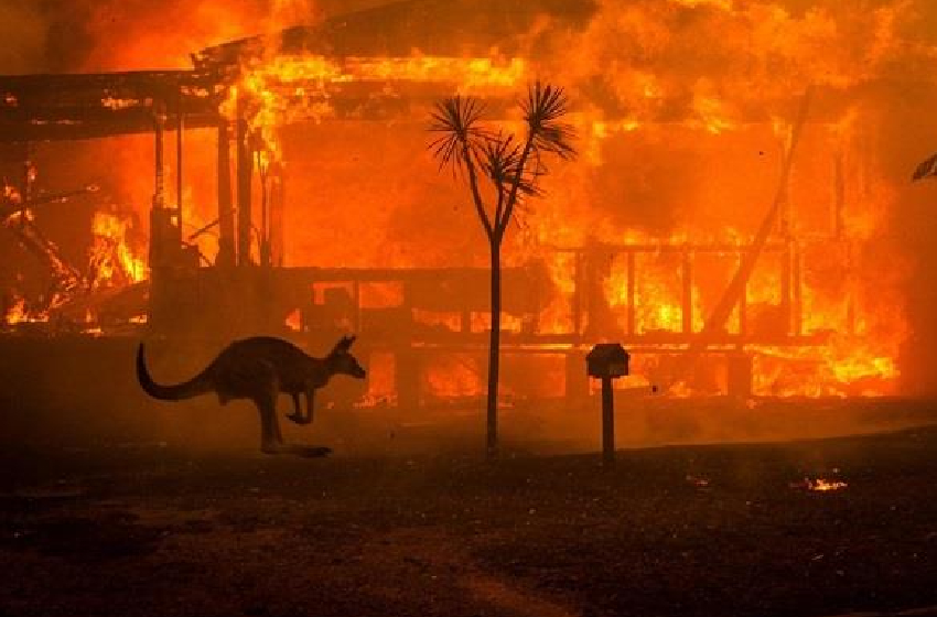 حالة الكارثة في جنوب شرق أستراليا جراء حرائق حرجية